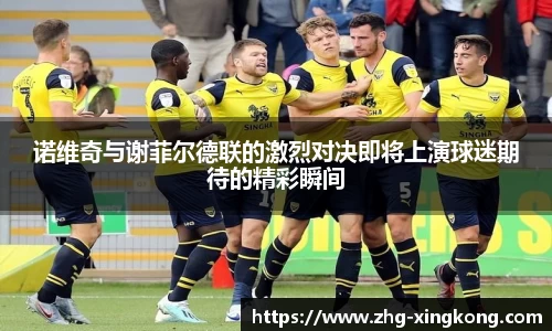 诺维奇与谢菲尔德联的激烈对决即将上演球迷期待的精彩瞬间